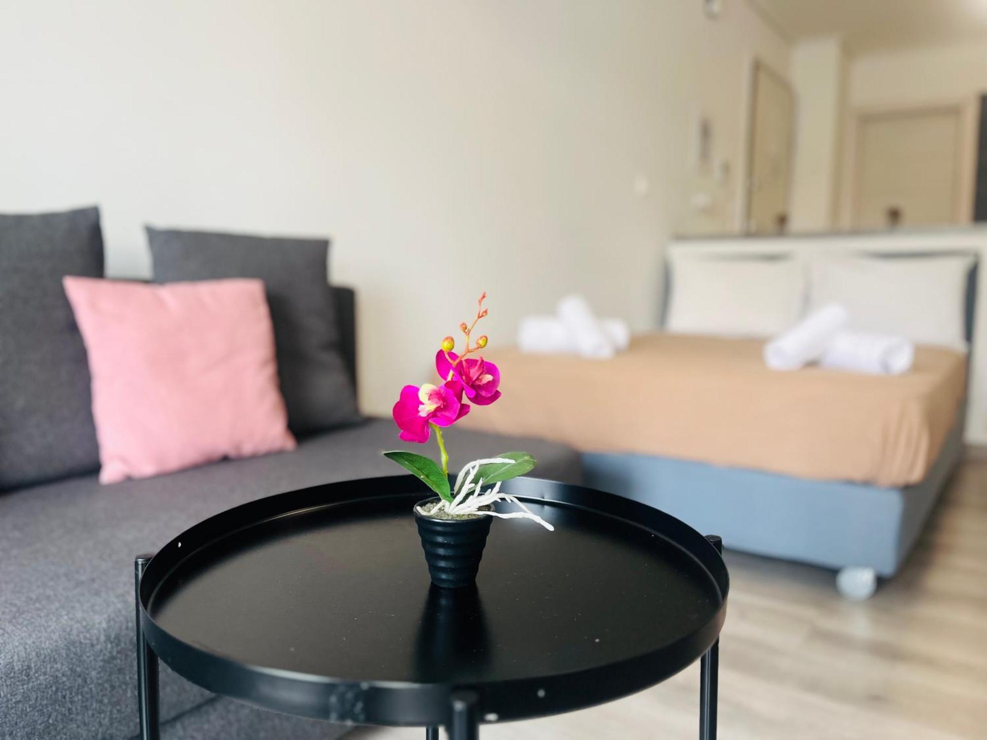 Elvita Apartments 4 Афины Экстерьер фото